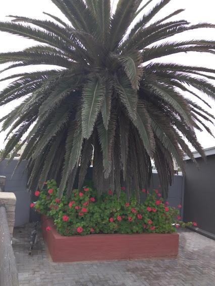 20 On Beach Road Swakopmund Exterior photo